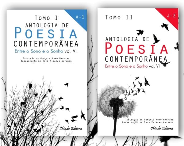 Entre o Sono e o Sonho - Antologia de Poesia Contemporânea - Vol VI