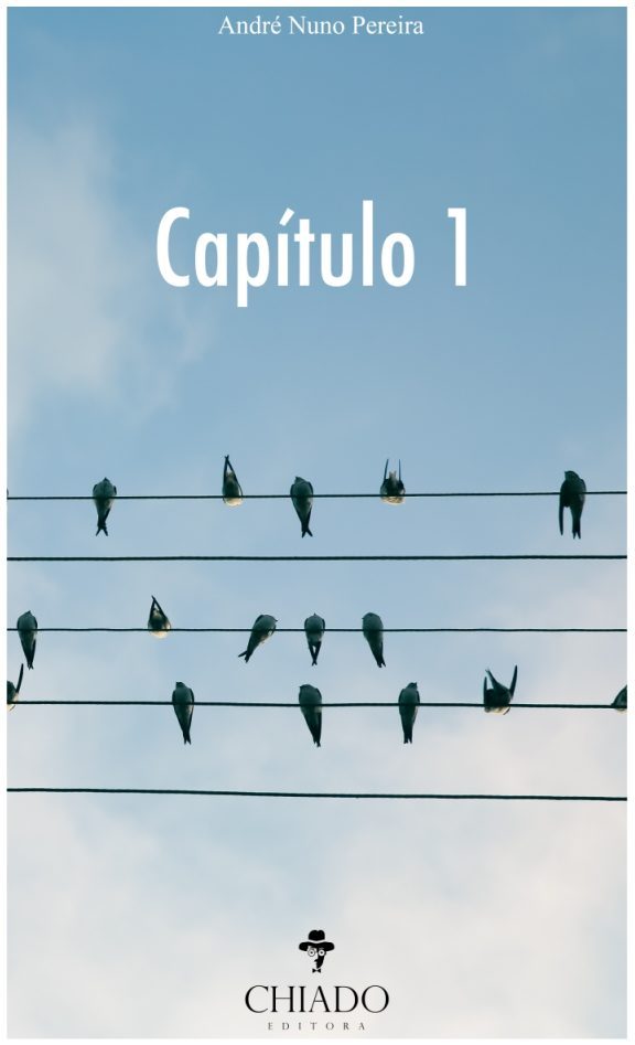 Capítulo 1