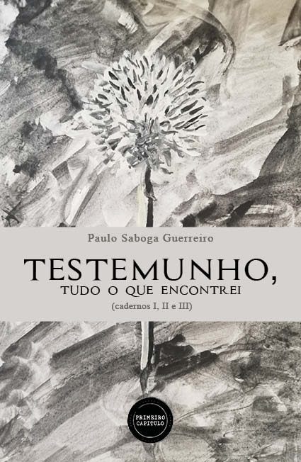 TESTEMUNHO, tudo o que encontrei (cadernos I, II e III)