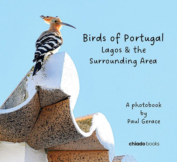 Birds of Portugal Lagos &amp; the Surrounding Area